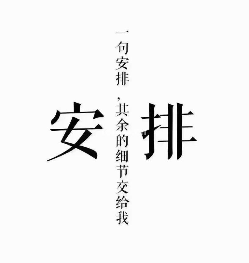 滨州交通违章罚款咨询 全国小车摩托六年免检只需拍照