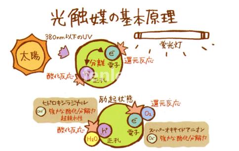 滨州专业保洁公司承接开荒外墙地毯家电除甲醛灭鼠等保洁业务(滨州家政保洁哪家好)